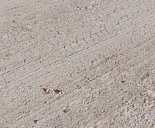 Mud Tracks 2