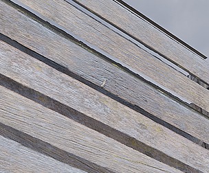 Wood Fence