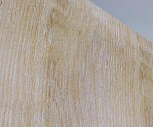 Wood 23
