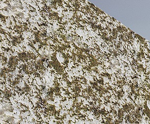 White Wall With Dirt 1
