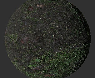 Wet Grass 2