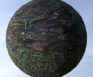 Wet Ground Fall 3