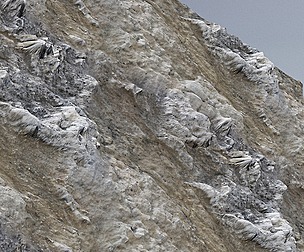 Stone Wall 19