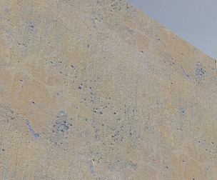 Stone Wall 29