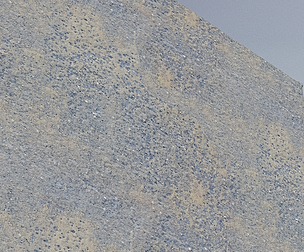 Stone Wall 30