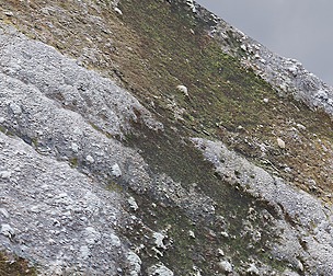 Stone Wall 46