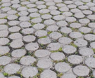 Stone Ground 21