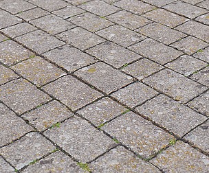 Stone Ground 22