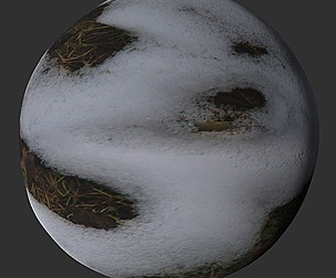Snow Grass 4