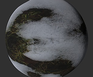 Snow Grass 5