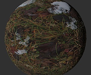 Snow Grass 7