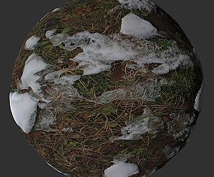 Snow Grass 9