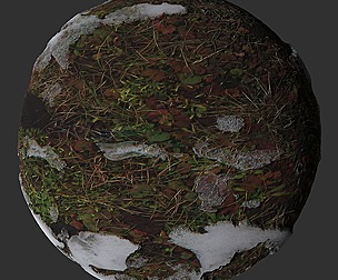 Snow Grass 10