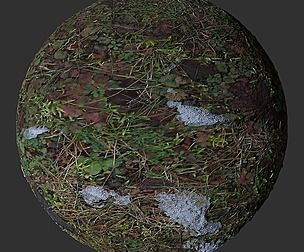 Snow Grass 11