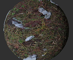 Snow Grass 12