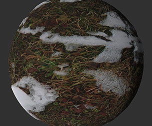 Snow Grass 13