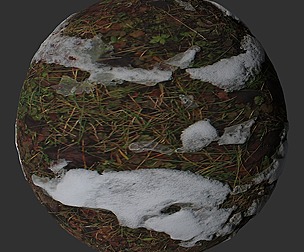 Snow Grass 14