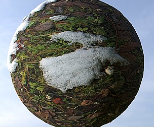 Snow Grass 15