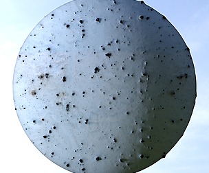 Snow Gravel 3
