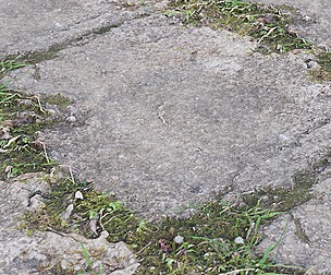 Old Path 1