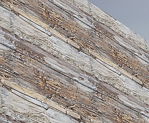 Old Wood Wall 1