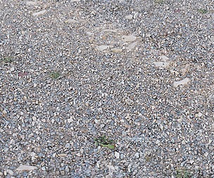 Gravel 36