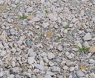 Gravel 40