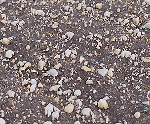 Gravel And Mud 4