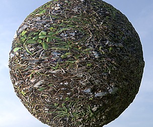 Gravel Grass 7