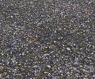 Gravel Ground 21