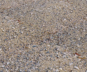 Gravel Ground 24