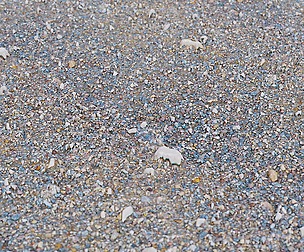 Gravel Ground 27