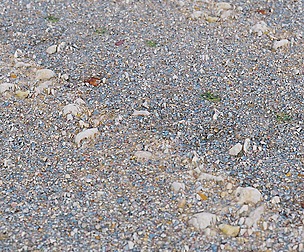 Gravel Ground 28