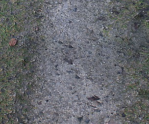 Gravel Path 2