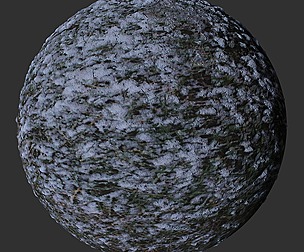 Ground Snow Grass 1