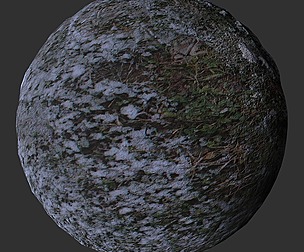 Ground Snow Grass 2