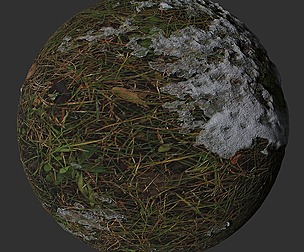Ground Snow Grass 3