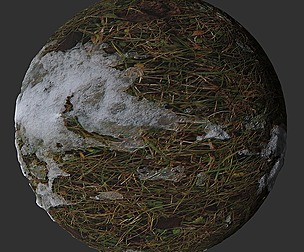 Ground Snow Grass 4
