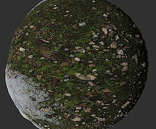 Moss And Snow 2
