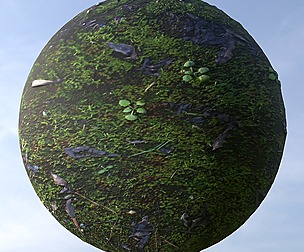 Mossy Ground 3