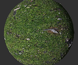 Mossy Ground 1