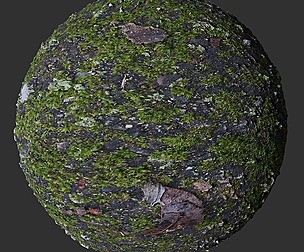 Mossy Ground 2