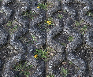 Mossy Stones Ground