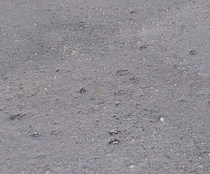 Mud 7