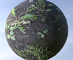 Mud Grass 1
