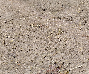 Mud Ground 2