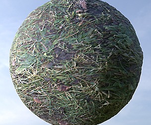 Grass With Mud