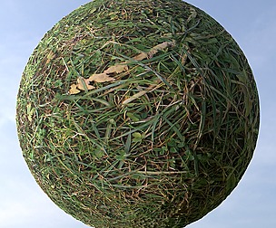 Grass 2