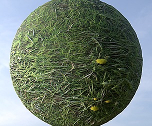 Grass 3