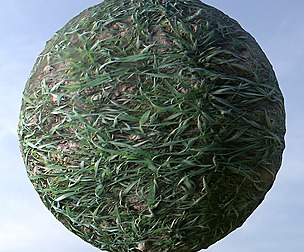 Grass 4